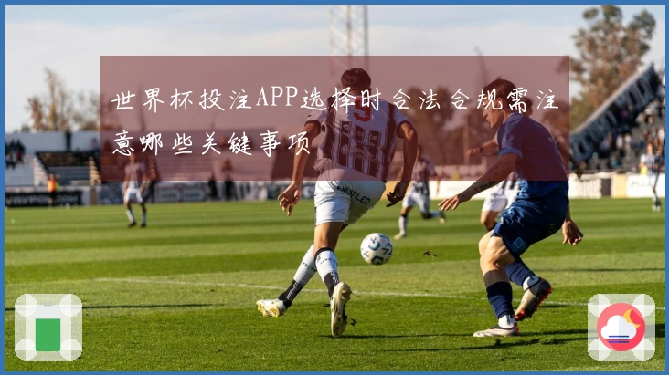 世界杯投注APP选择时合法合规需注意哪些关键事项